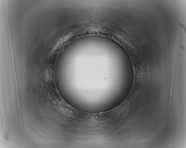 X0000103281207200808291304