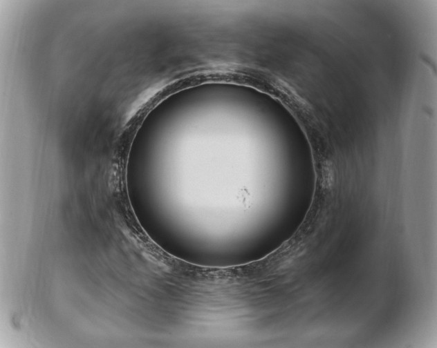 X0000103281208200808291304