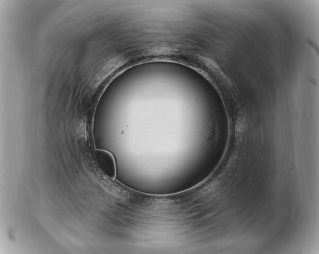 X0000103281209200808291304