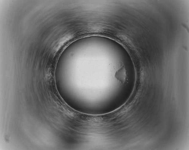 X0000103281210200808291304