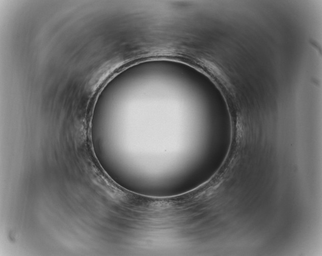 X0000103281212200808291304