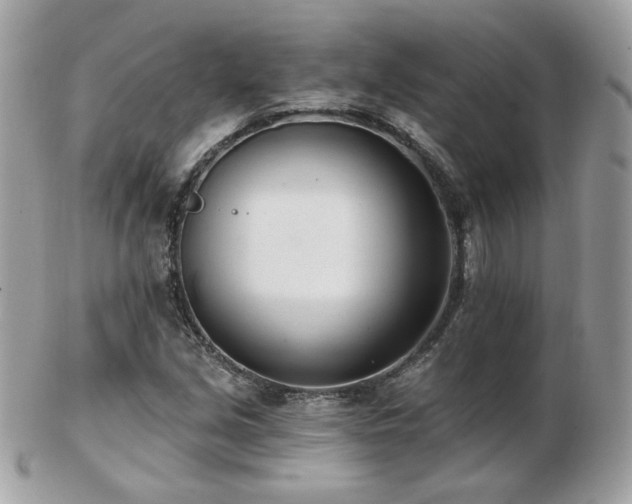 X0000103281213200808291304