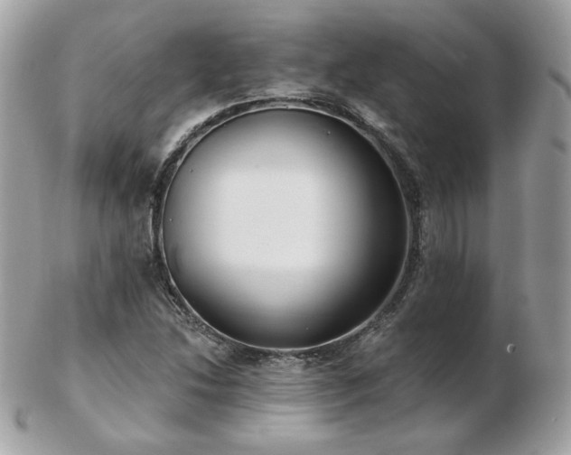 X0000103281214200808291304