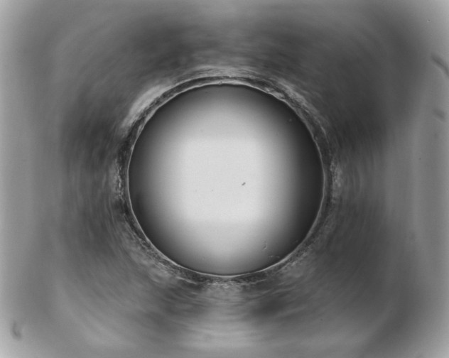 X0000103281215200808291304