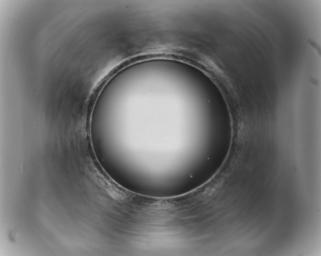 X0000103281216200808291304