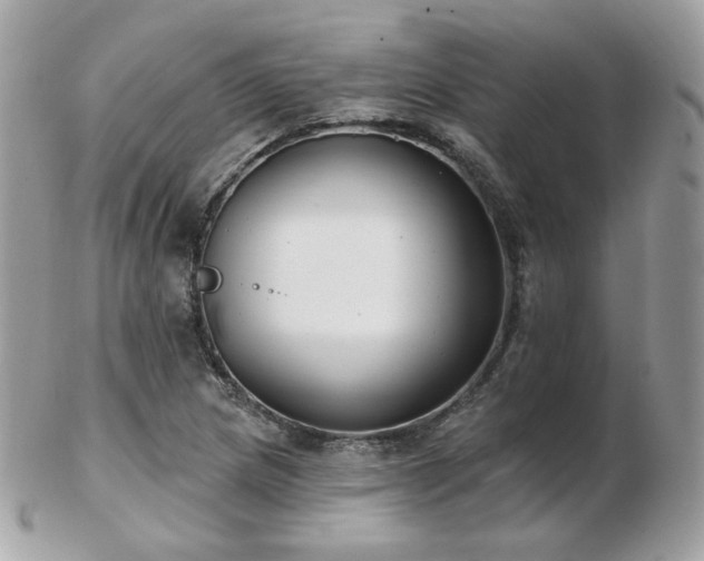 X0000103281217200808291304