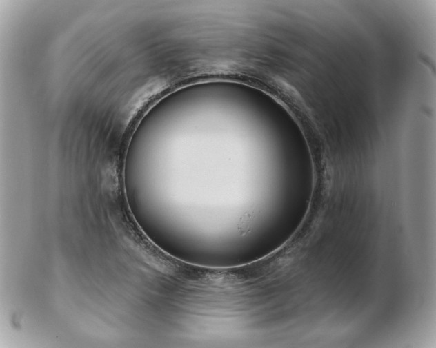 X0000103281218200808291304