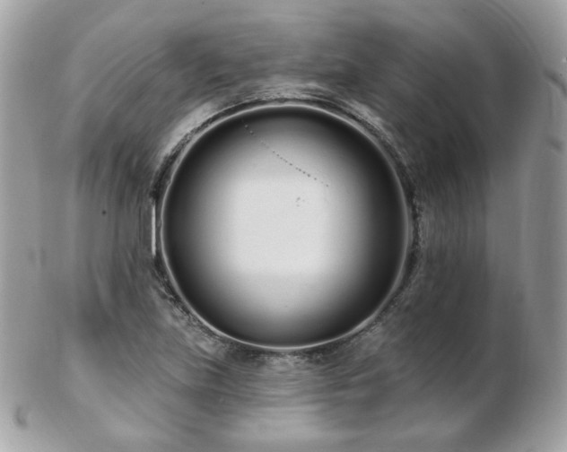 X0000103281219200808291304