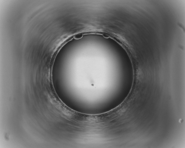 X0000103281220200808291304