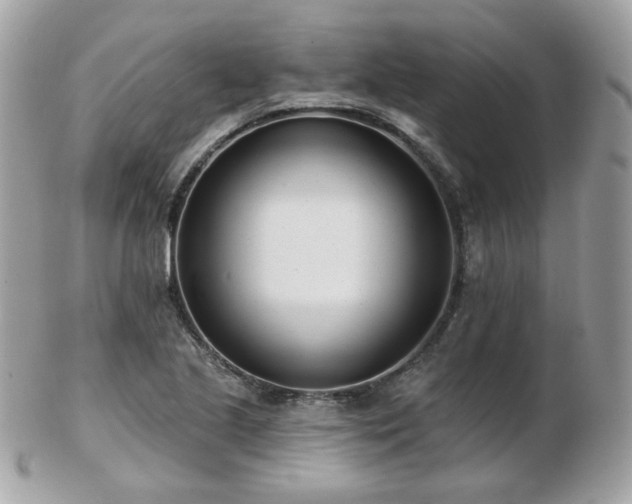 X0000103281221200808291304