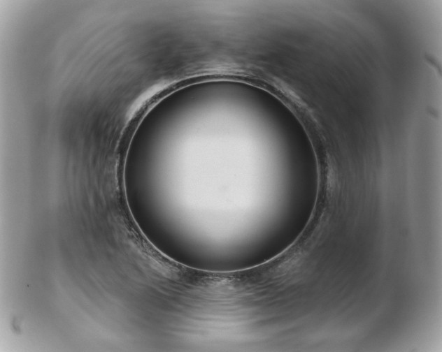 X0000103281222200808291304