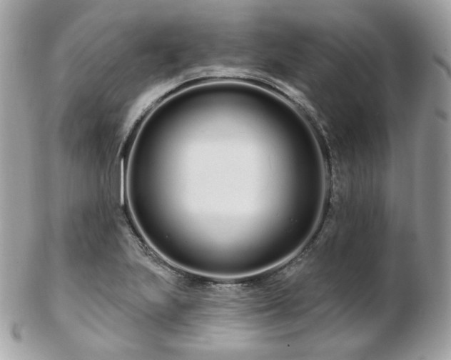 X0000103281223200808291304