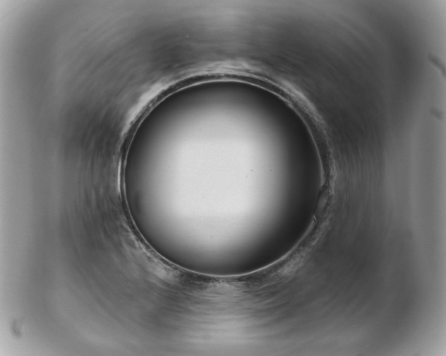 X0000103281224200808291304