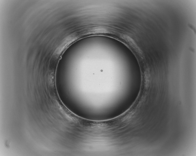 X0000103281225200808291304