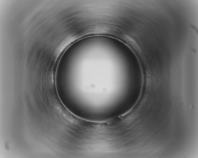 X0000103281226200808291304