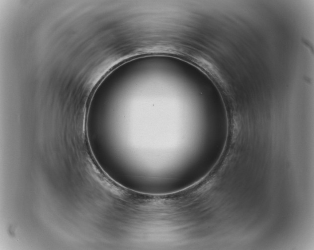 X0000103281228200808291304