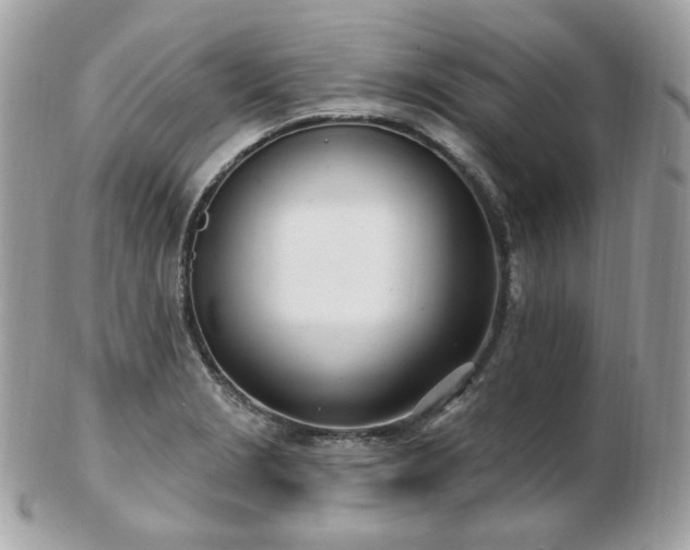 X0000103281229200808291304