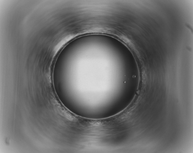 X0000103281230200808291304