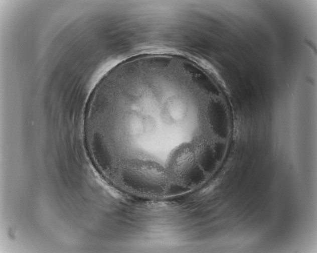 X0000103281231200808291304