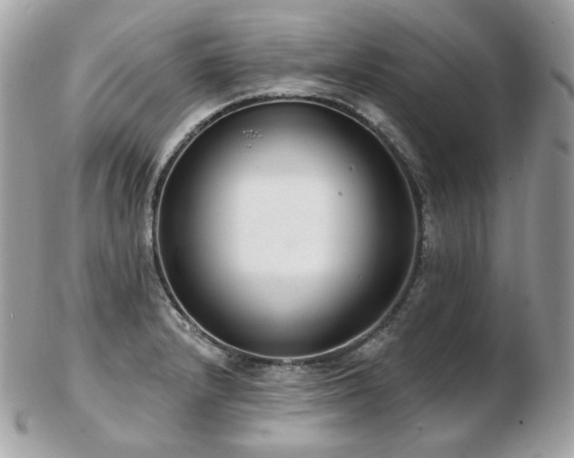 X0000103281232200808291304