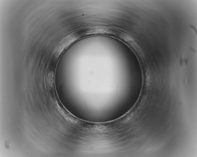 X0000103281233200808291304