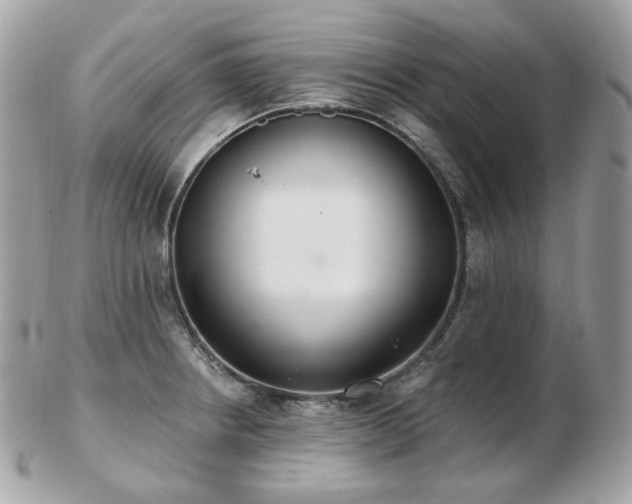 X0000103281234200808291304