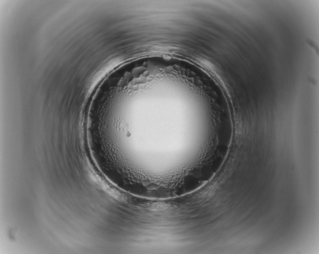 X0000103281235200808291304