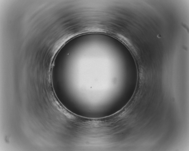 X0000103281236200808291304