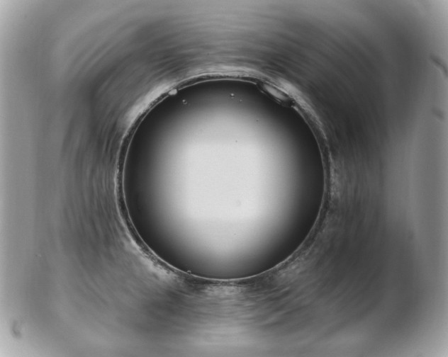 X0000103281237200808291304