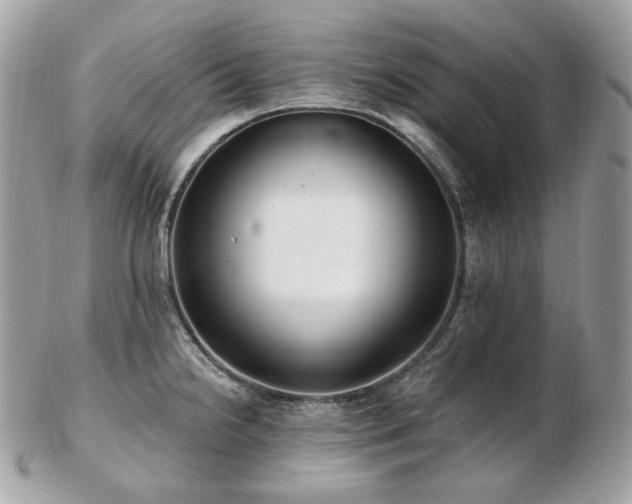 X0000103281238200808291304