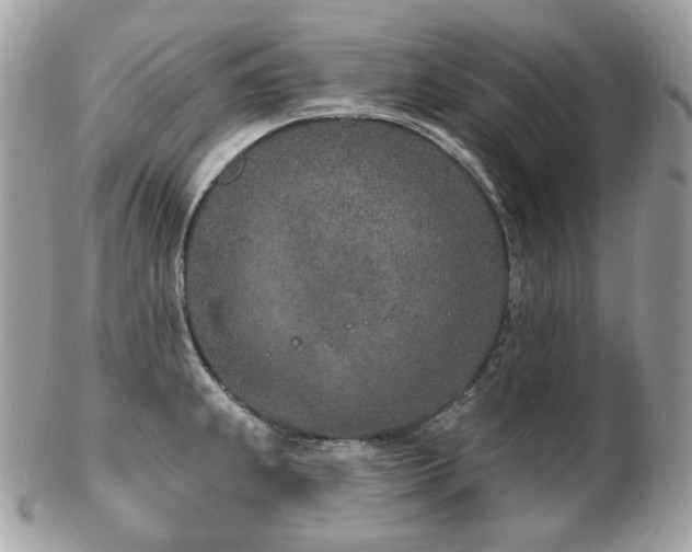 X0000103281239200808291304