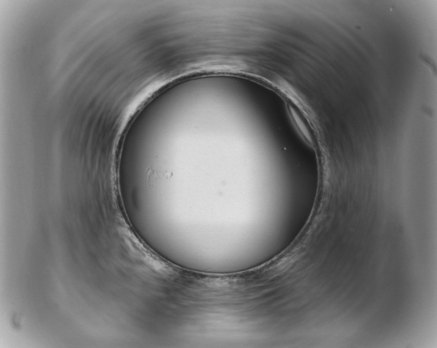 X0000103281240200808291304