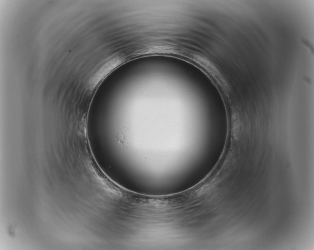 X0000103281241200808291304