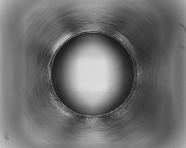 X0000103281242200808291304