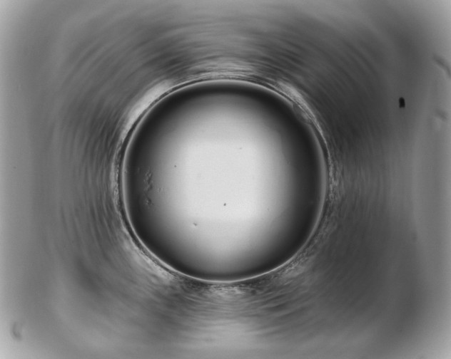 X0000103281243200808291304