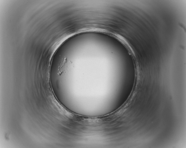 X0000103281244200808291304