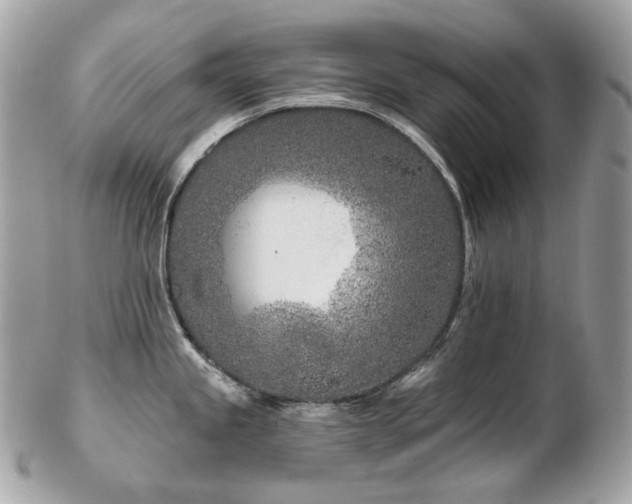 X0000103281245200808291304