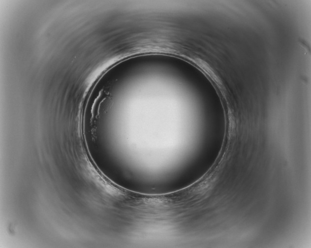 X0000103281246200808291304