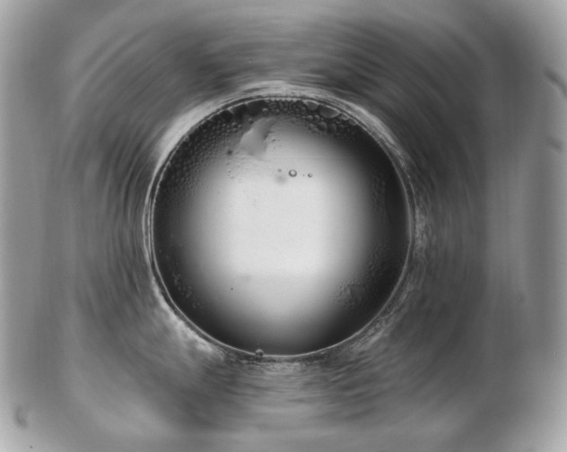 X0000103281247200808291304