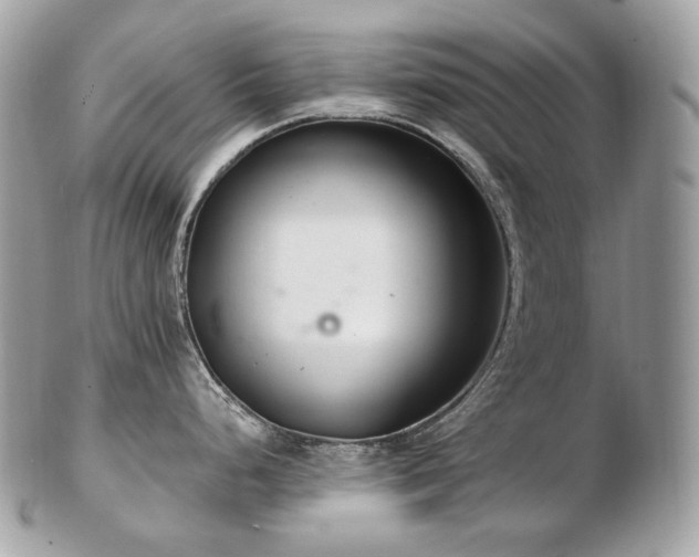 X0000103281248200808291304