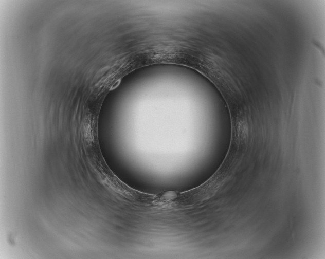 X0000103281250200808291304