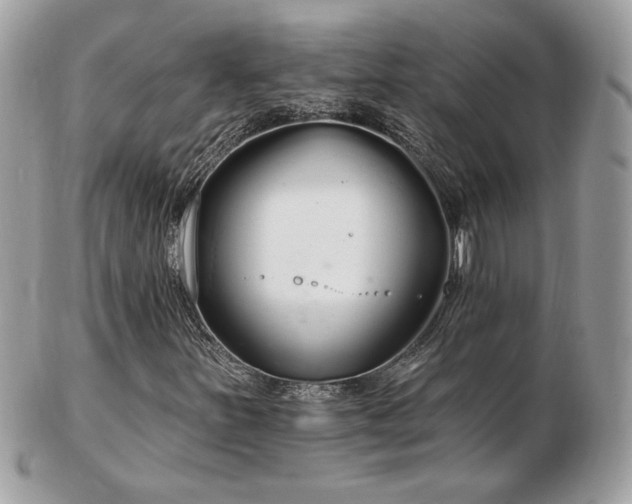 X0000103281251200808291304