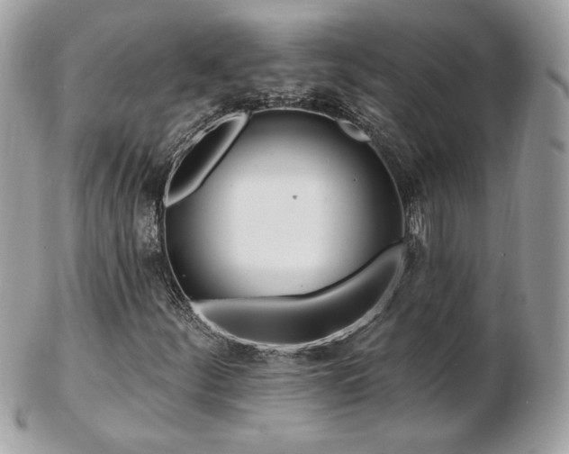 X0000103281252200808291304