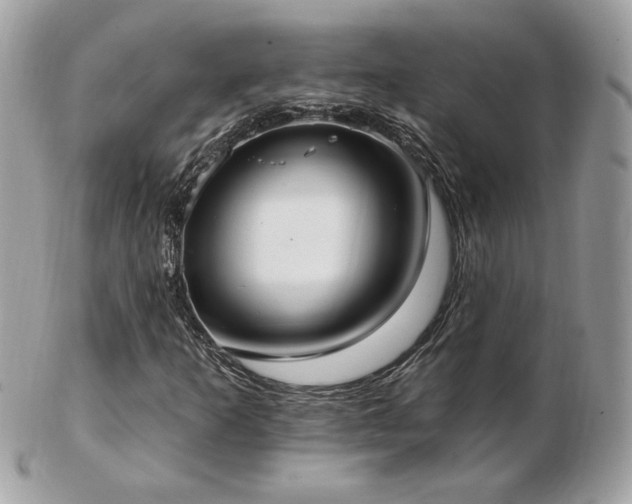 X0000103281253200808291304