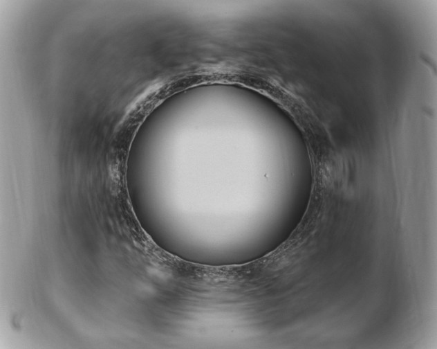 X0000103281254200808291304