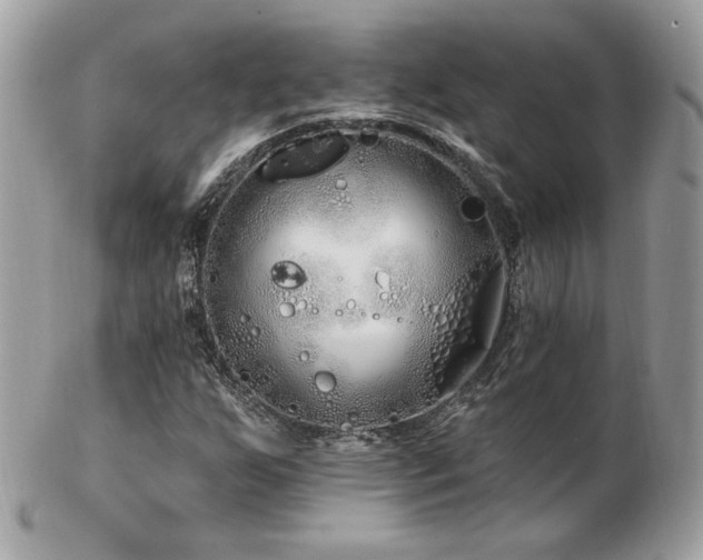 X0000103281255200808291304