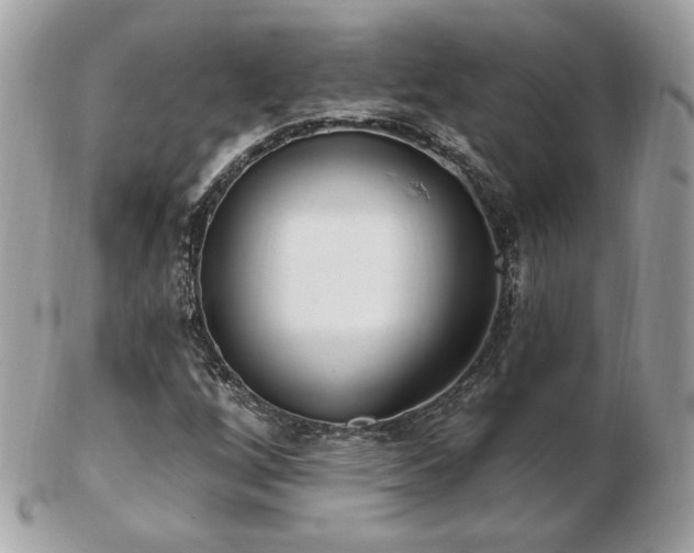 X0000103281256200808291304