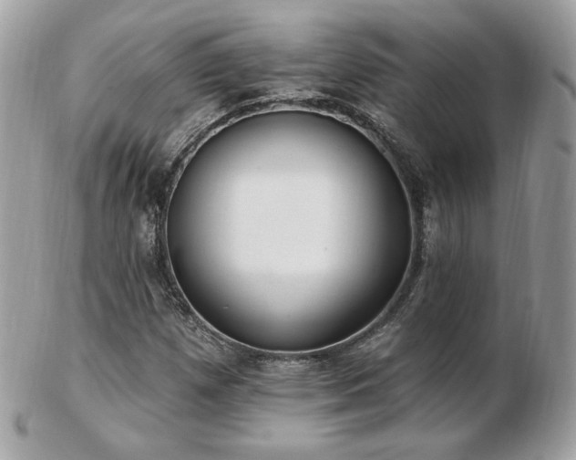 X0000103281257200808291304