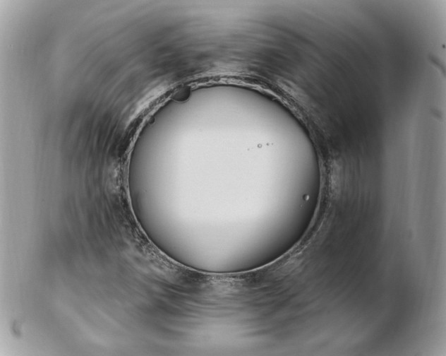 X0000103281258200808291304