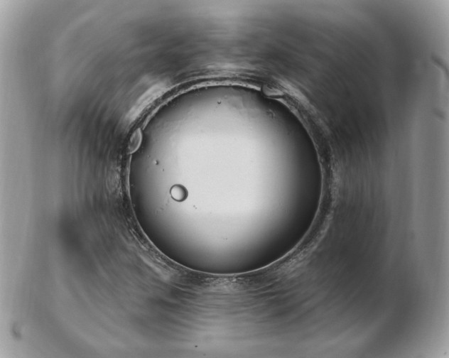 X0000103281259200808291304